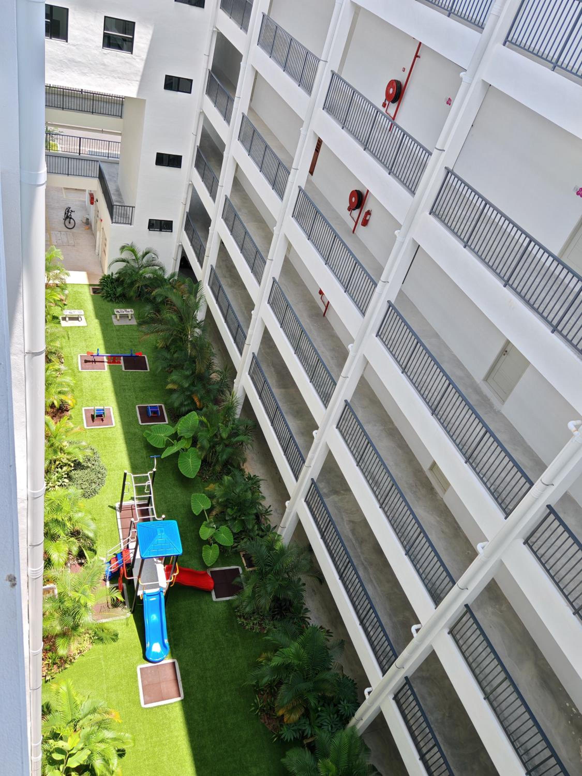 Comfortable Greenery