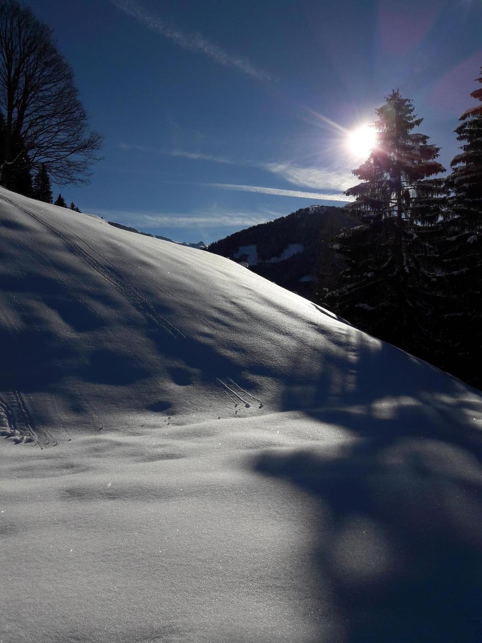 Arishorst Aussergasteighof
