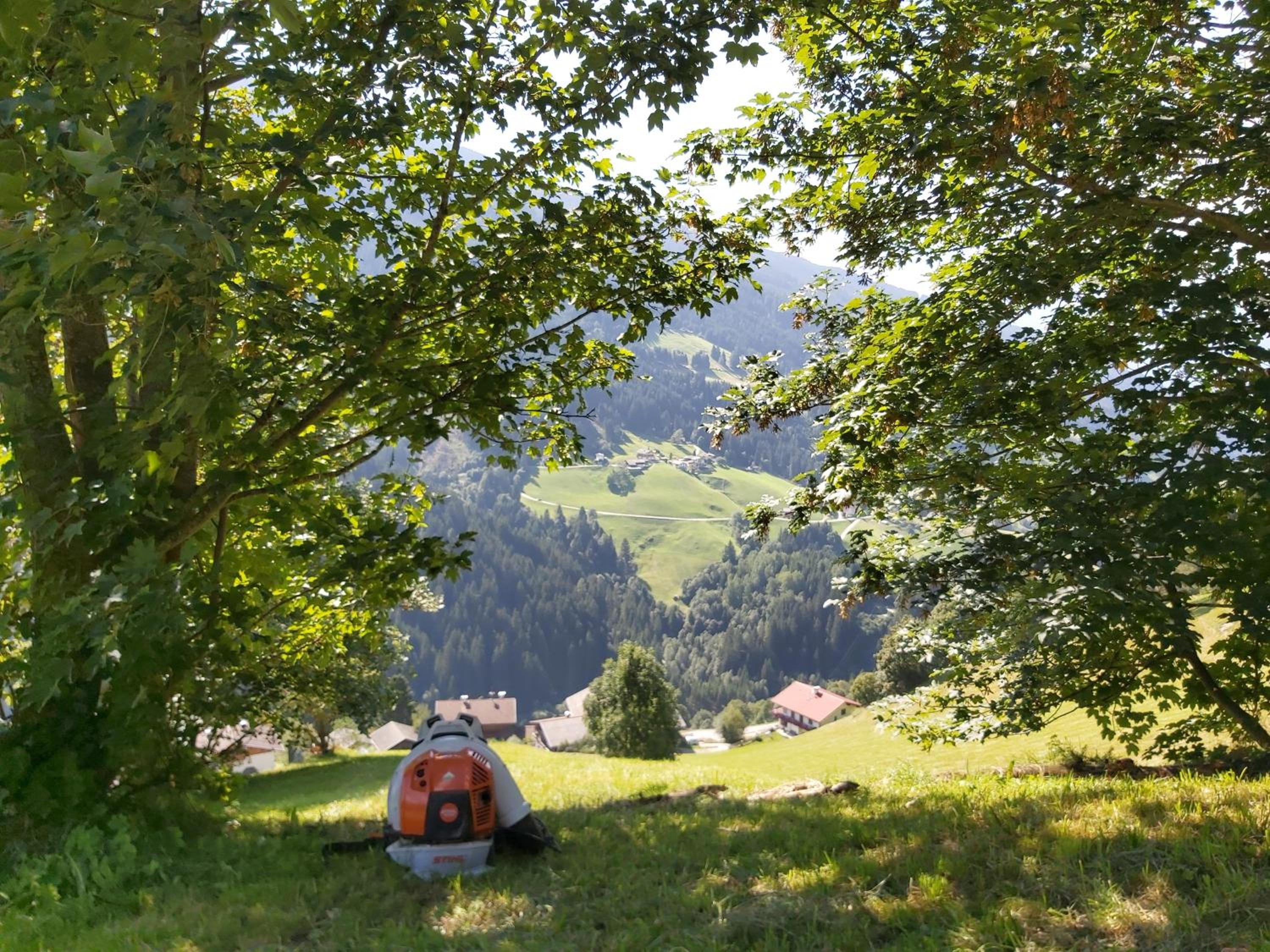 Arishorst Aussergasteighof