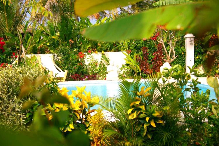 Villa Anaïs Jardin Paradisiaque Face à la Mer