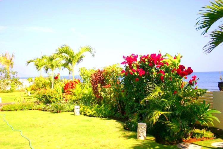 Villa Anaïs Jardin Paradisiaque Face à la Mer