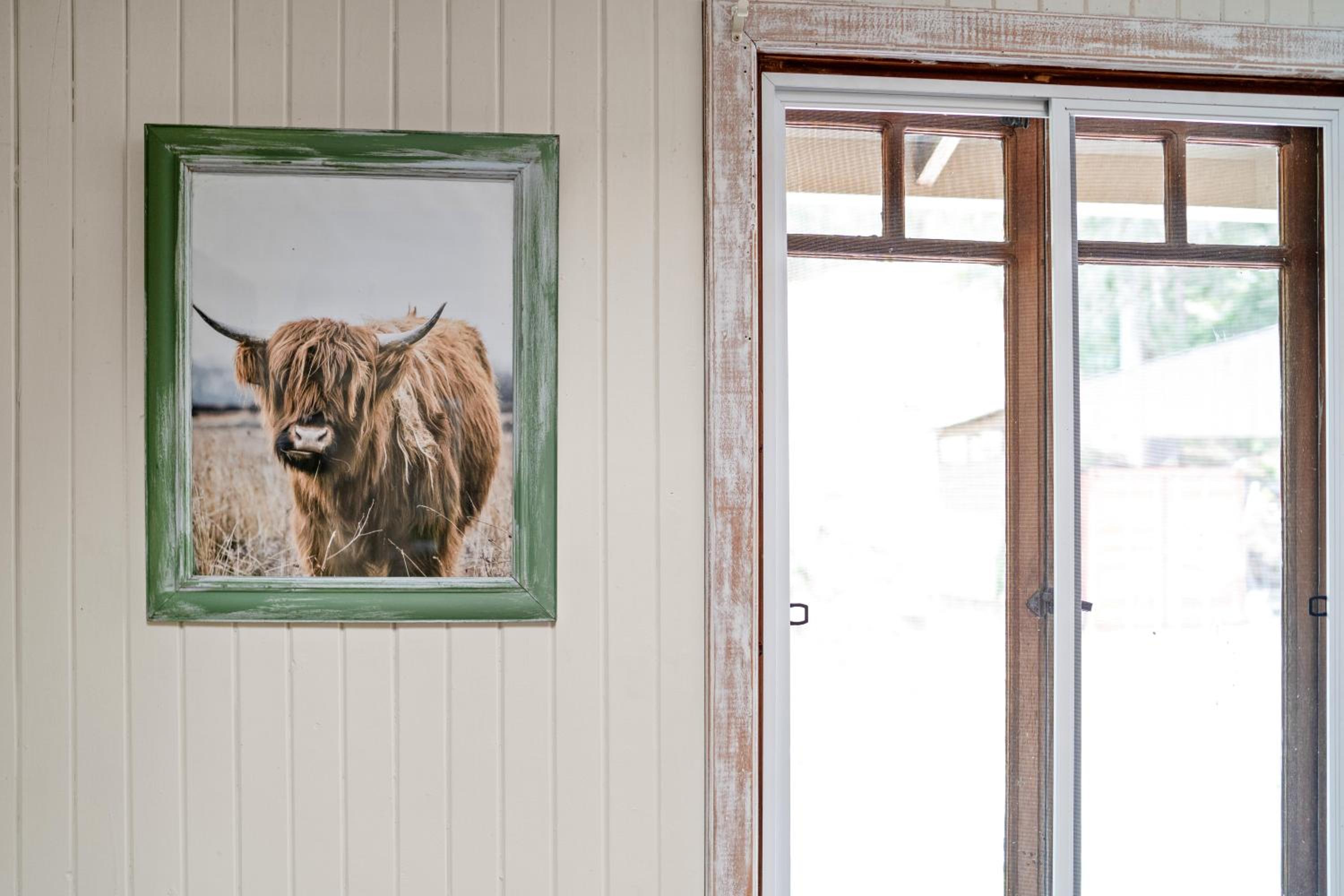 Bellbird Rise Off-Grid Cottage