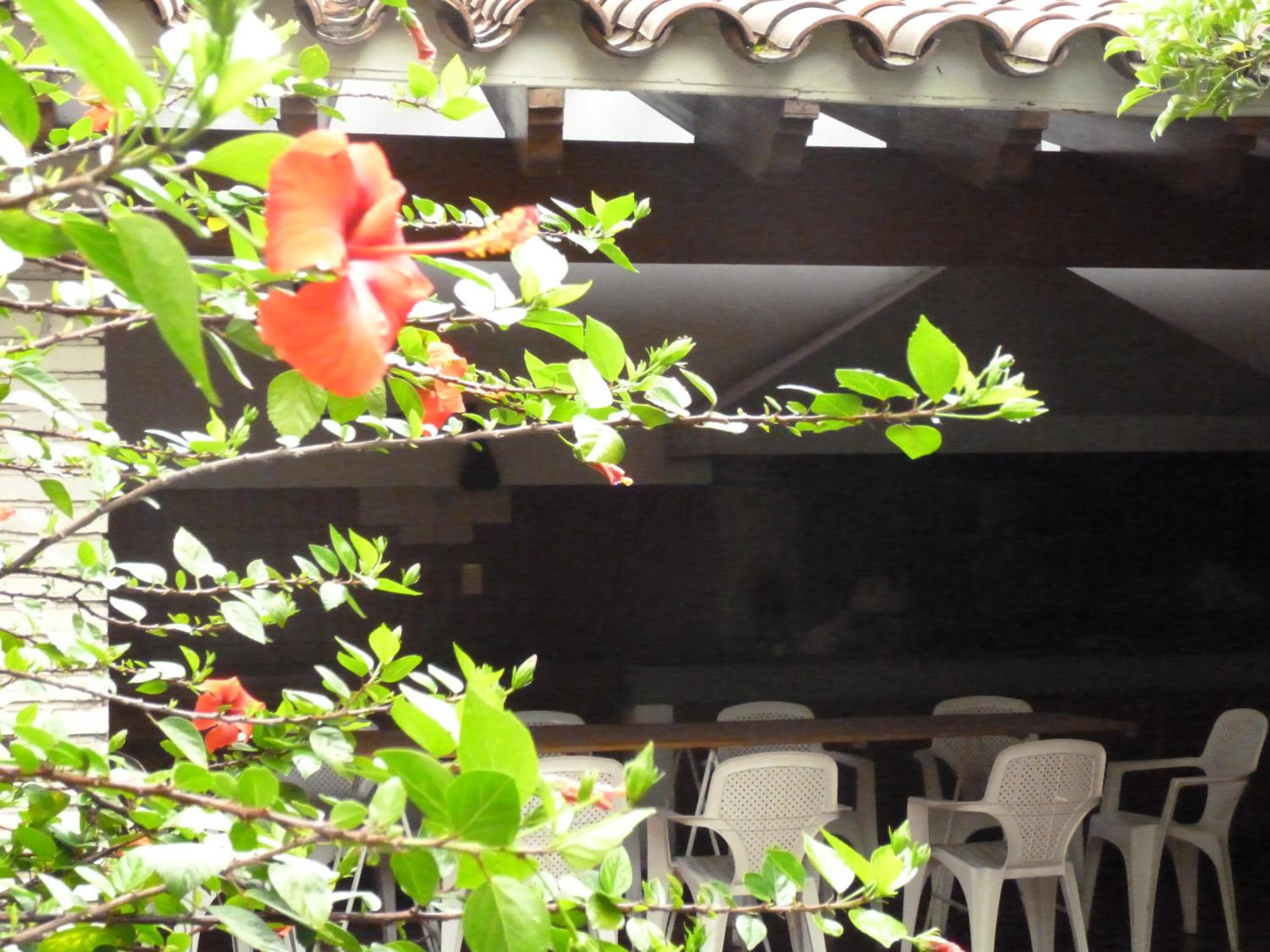 Hostel de Los Artistas