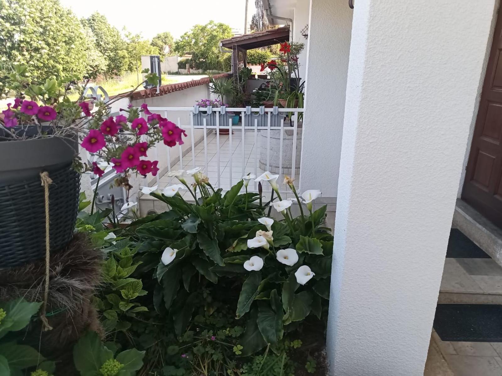 Photo 39