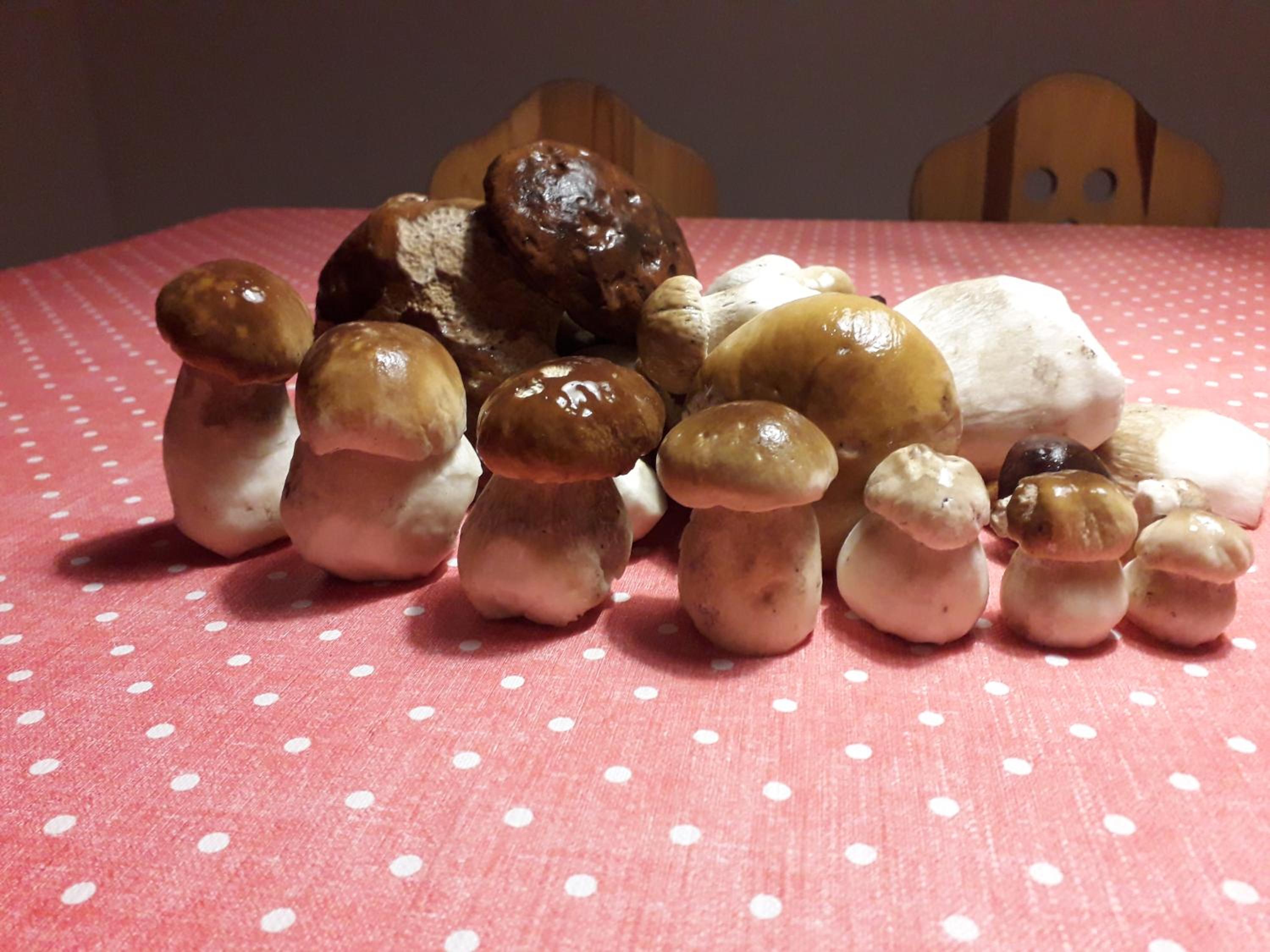 Photo 38