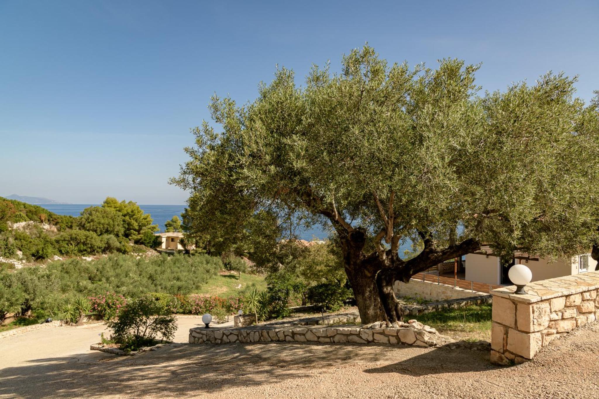 Villa Mare Studios view 2