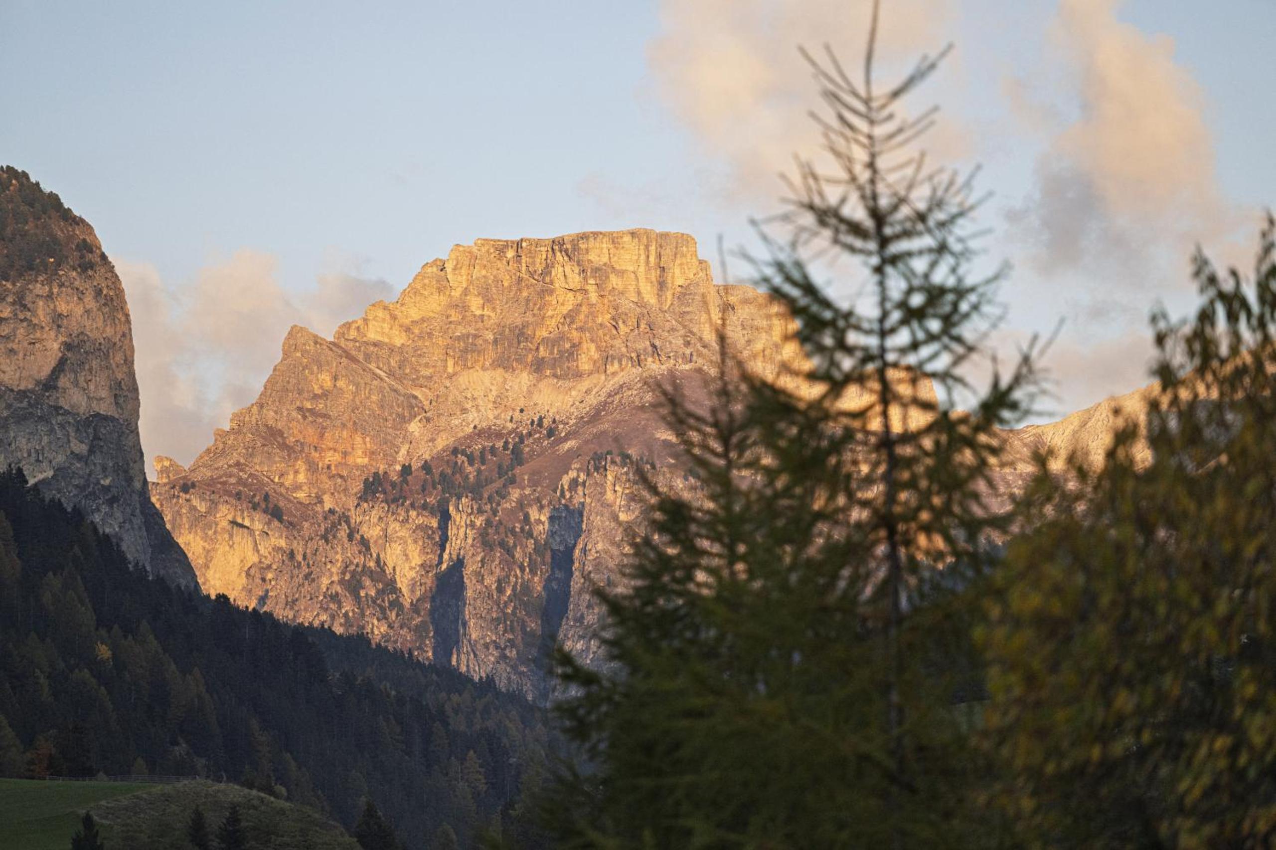Chalet Urela Luxury Apartment
