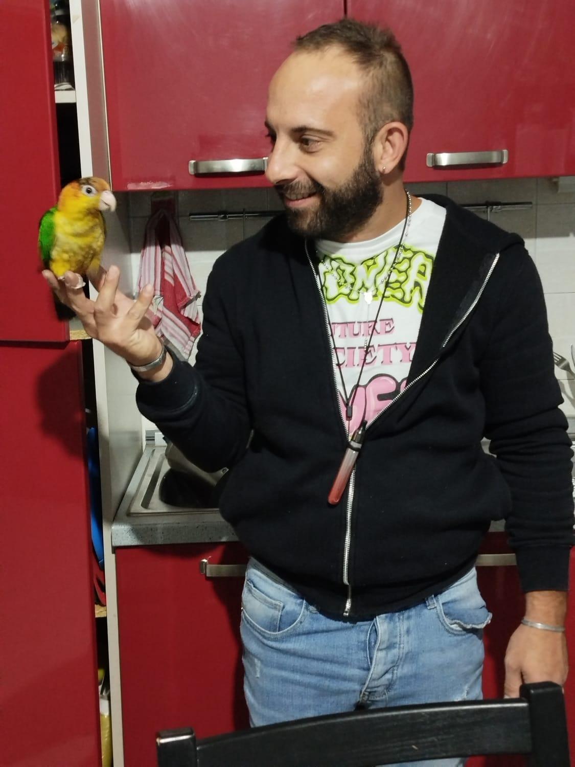 human