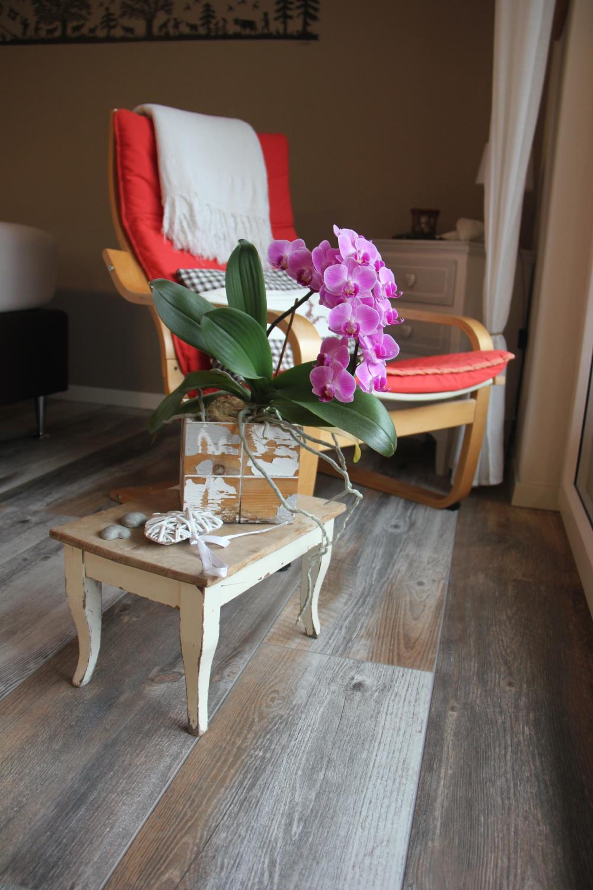 Bergwohl