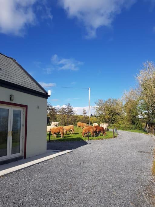 Coher Cottage Cahermacateer ,Kilnaboy, Corofin view 3