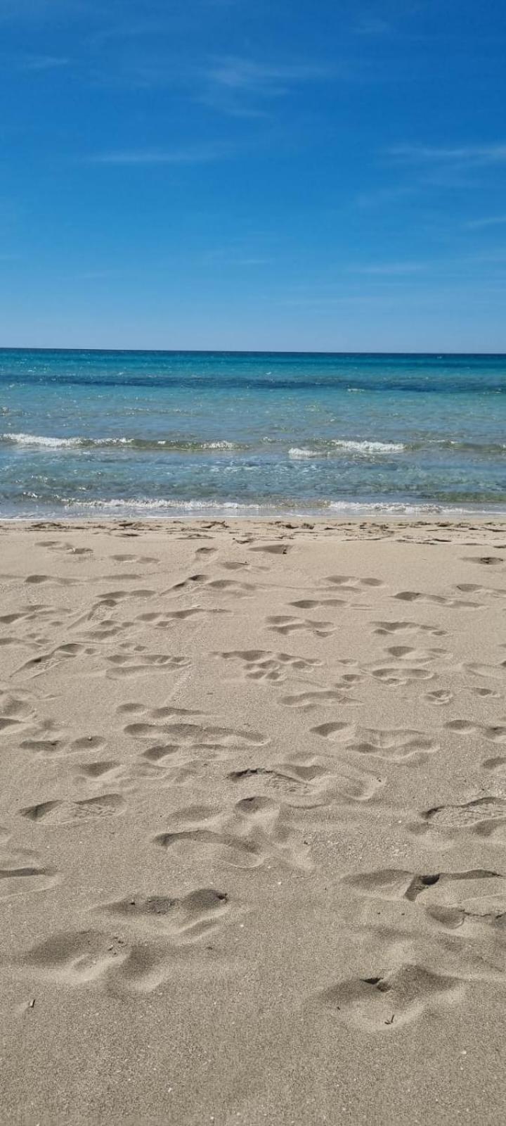 Trilocale Lido Sabbioso view 5