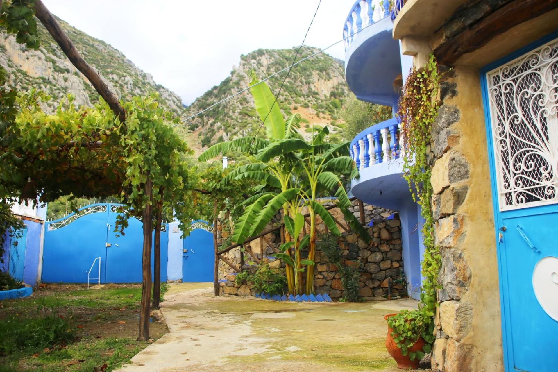 Blue House Town - Image 2