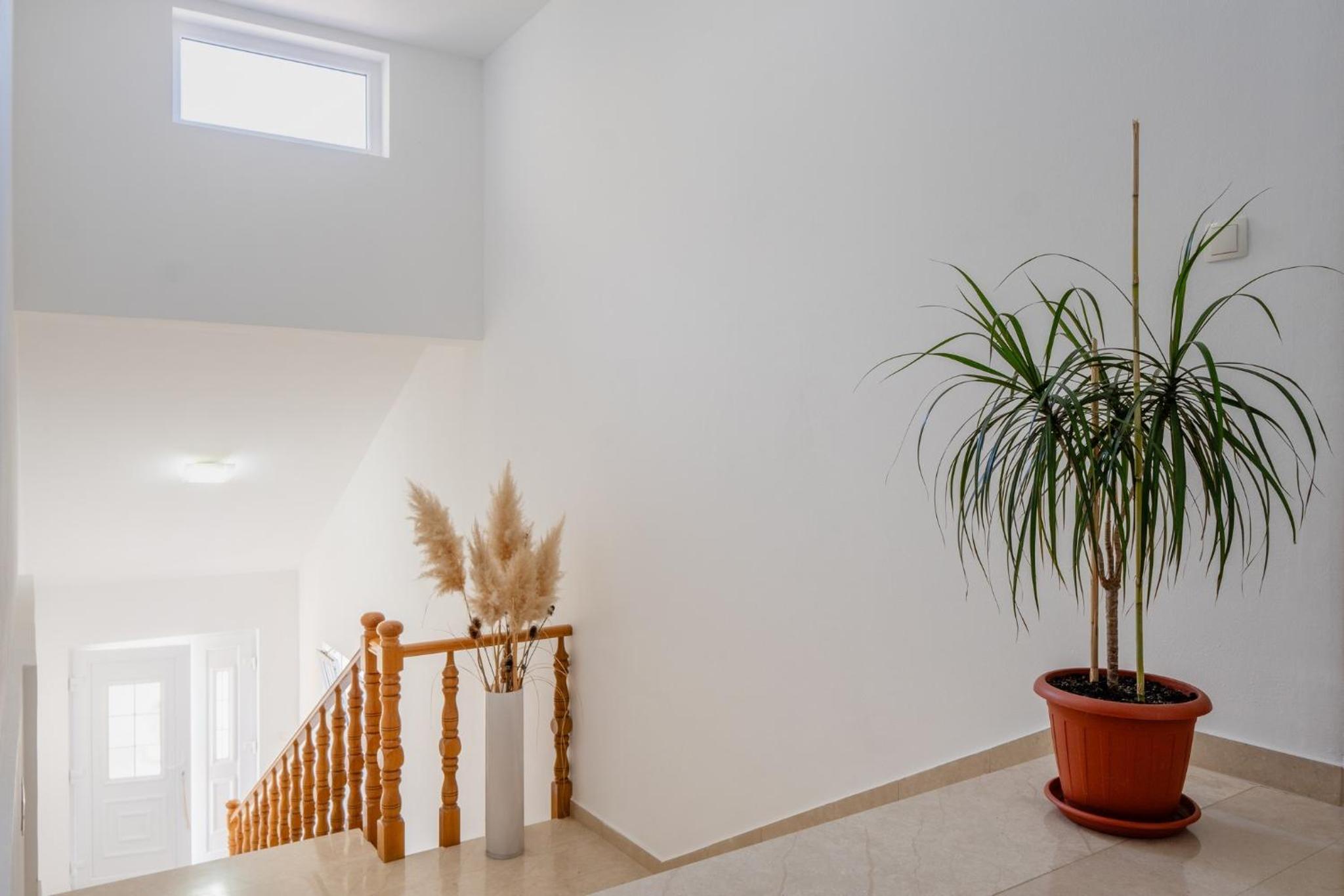 Apartments Krslovic