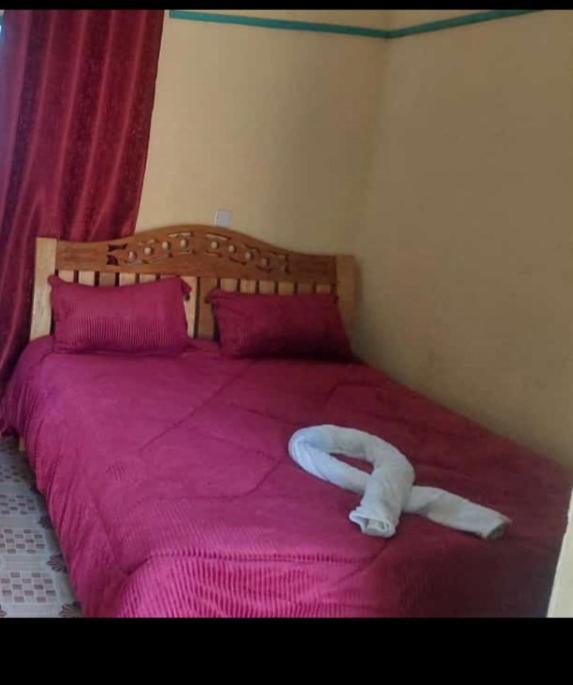 Potters Air bed and breakfast view 3