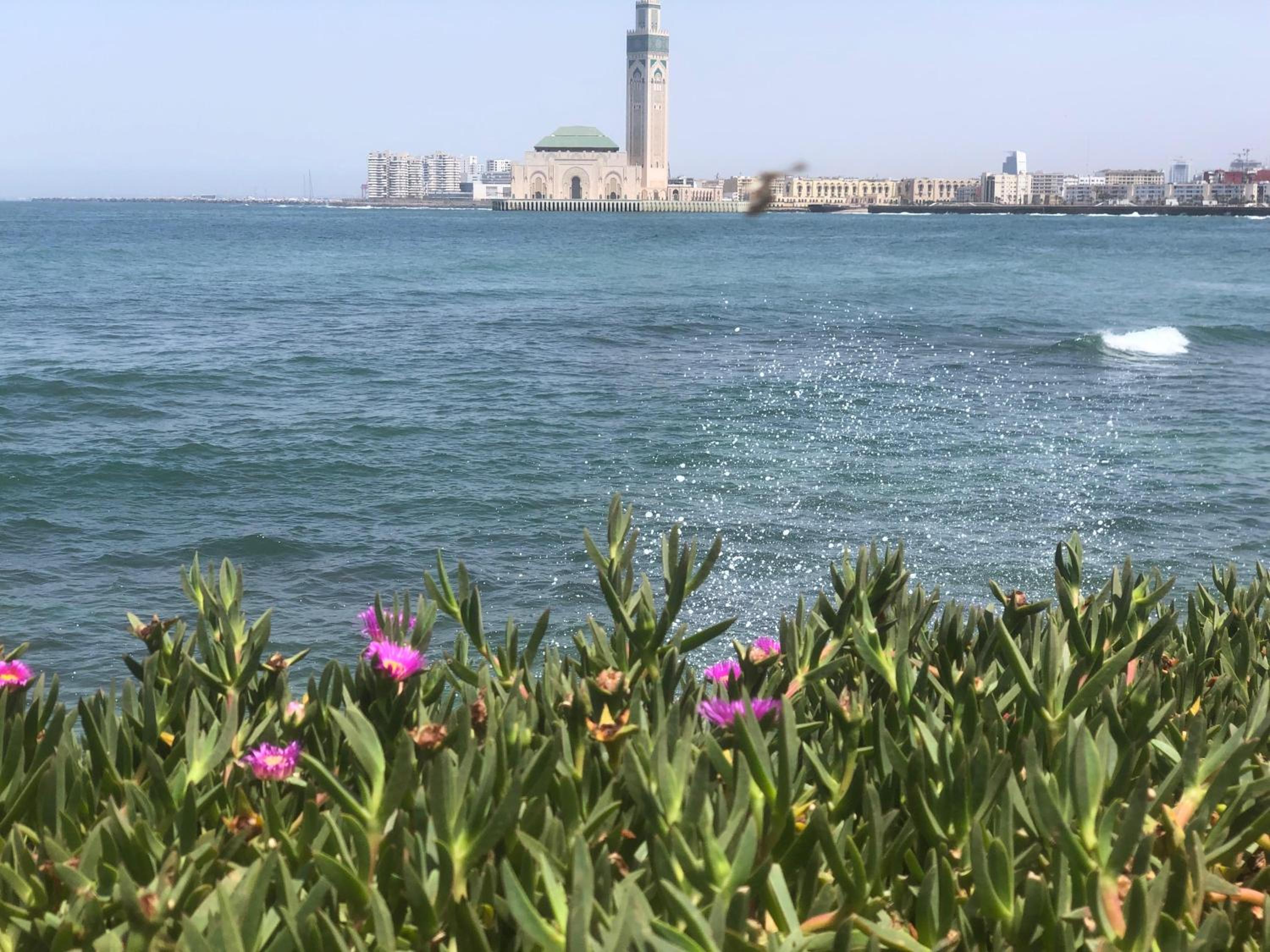 Appartement de Charme Avec Vue Sur Mer