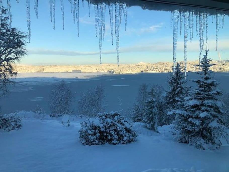 Panoramic Fjord View near Bergen view 5