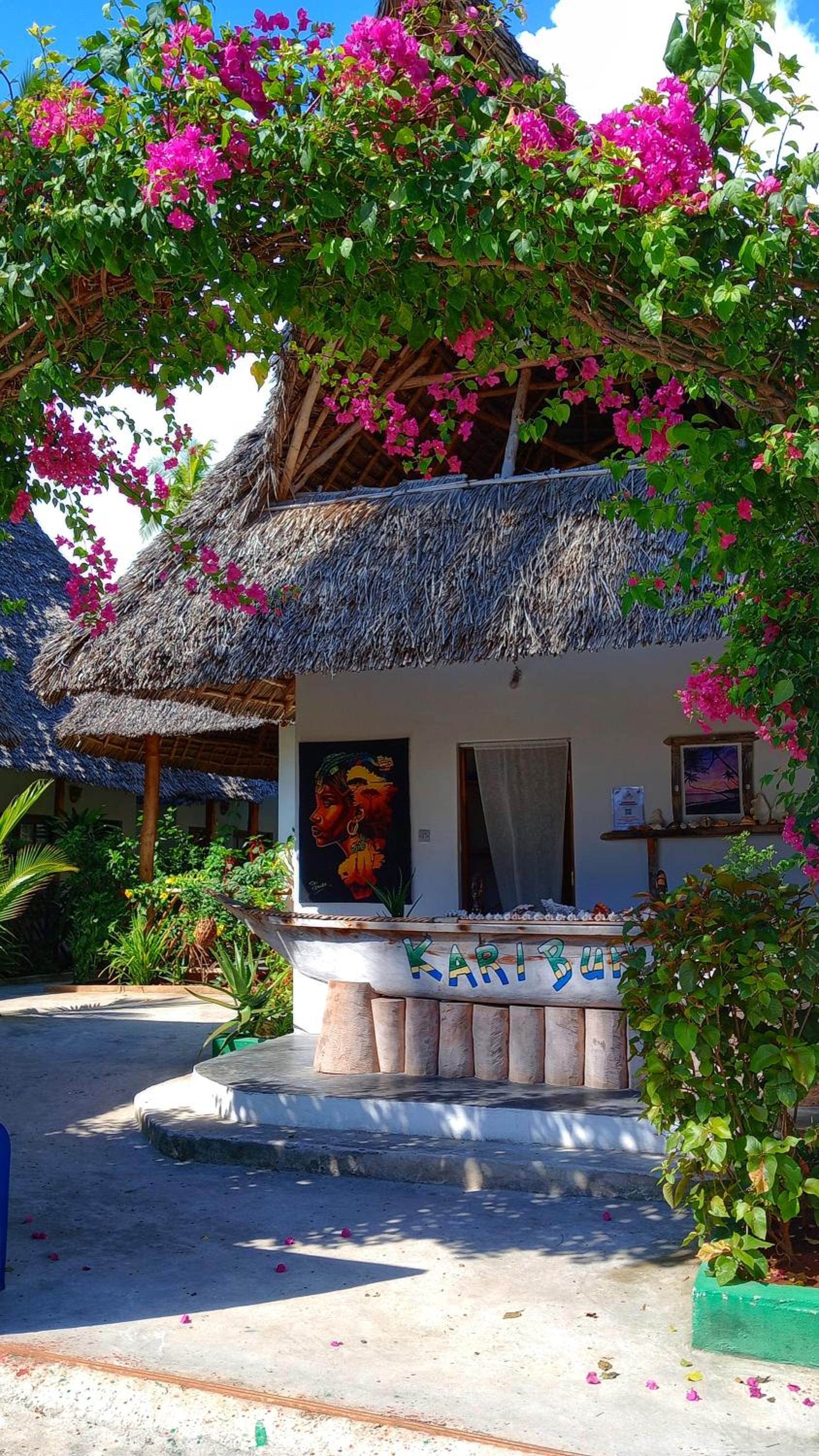 Polly Lodge Bungalow Zanzibar Kiwengwa view 3