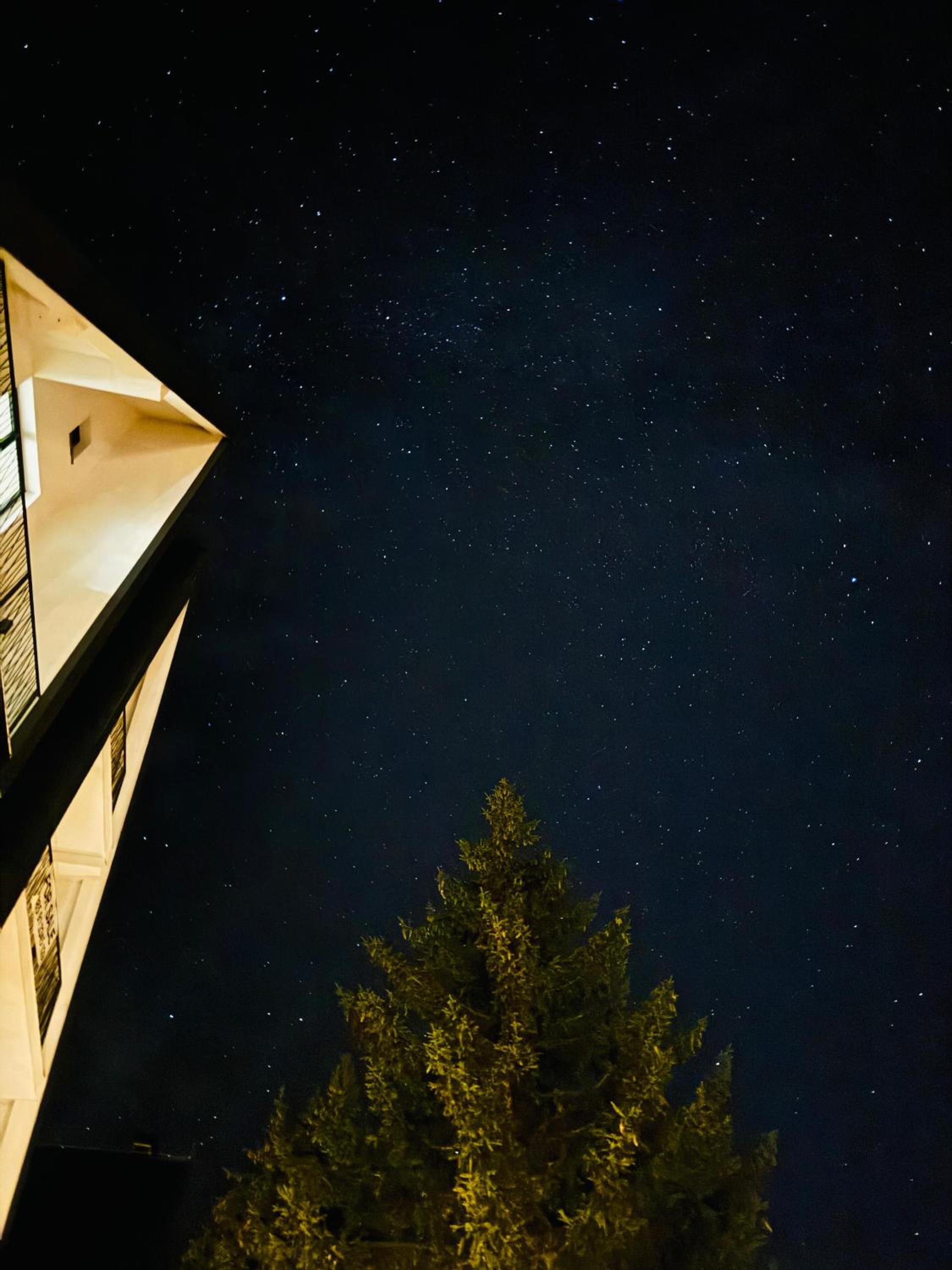PineTree Jahorina