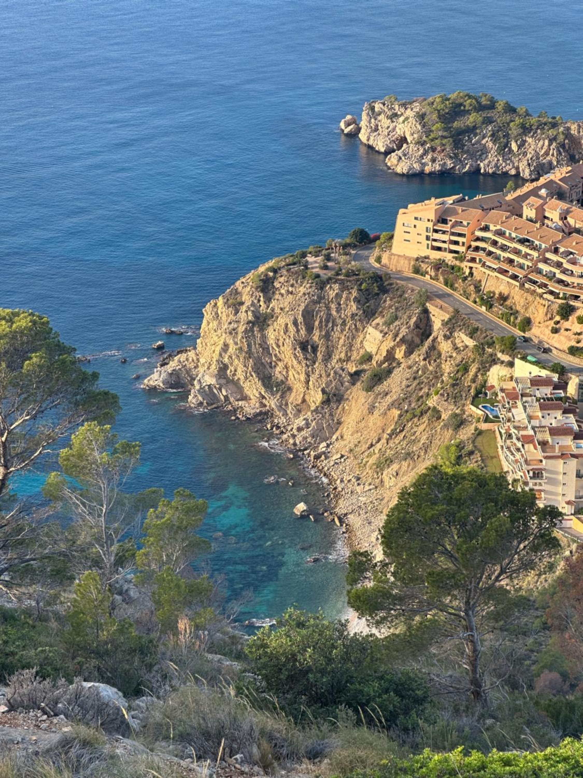 Can Luc Altea