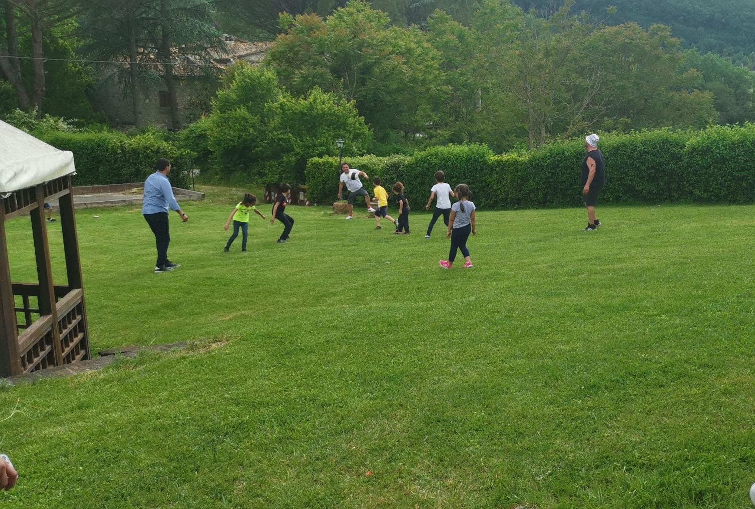 Photo 41