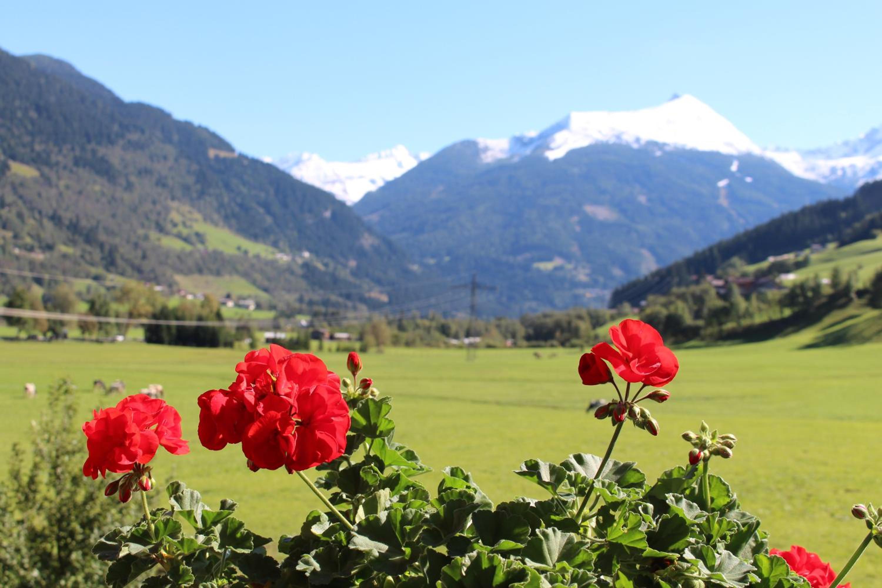 ZITTRAUERHOF - Urlaub am Bauernhof Gastein