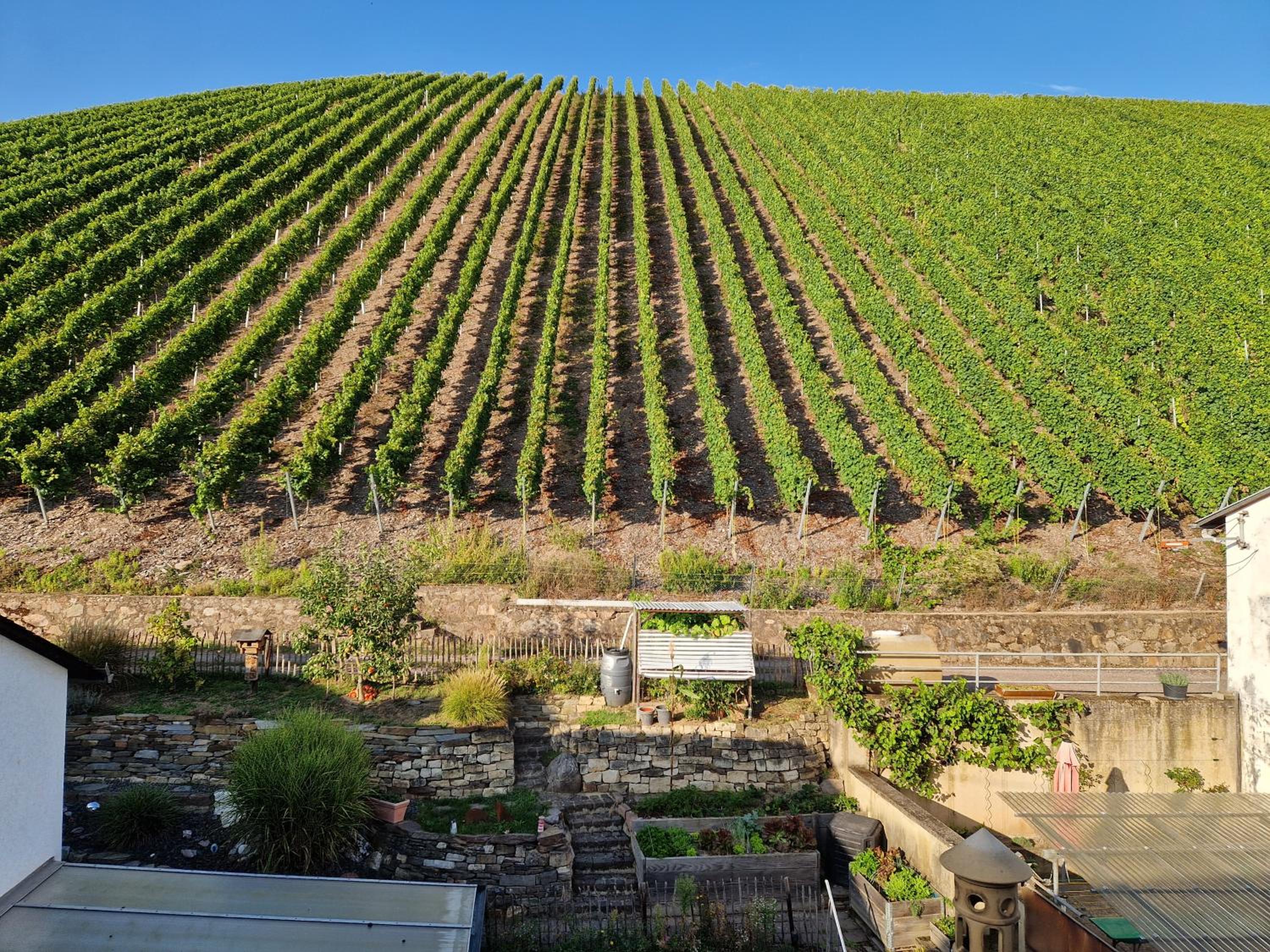 Antikes Haus an der Mosel