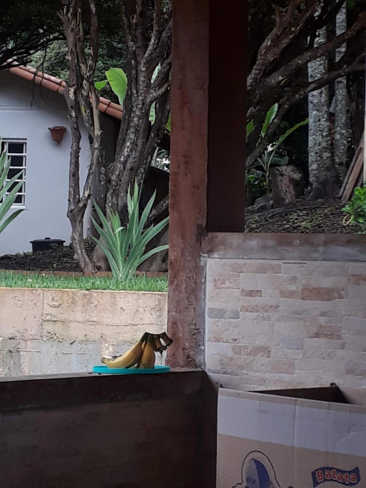 Sítio da Serra em Ouro Preto MG - POUSADA