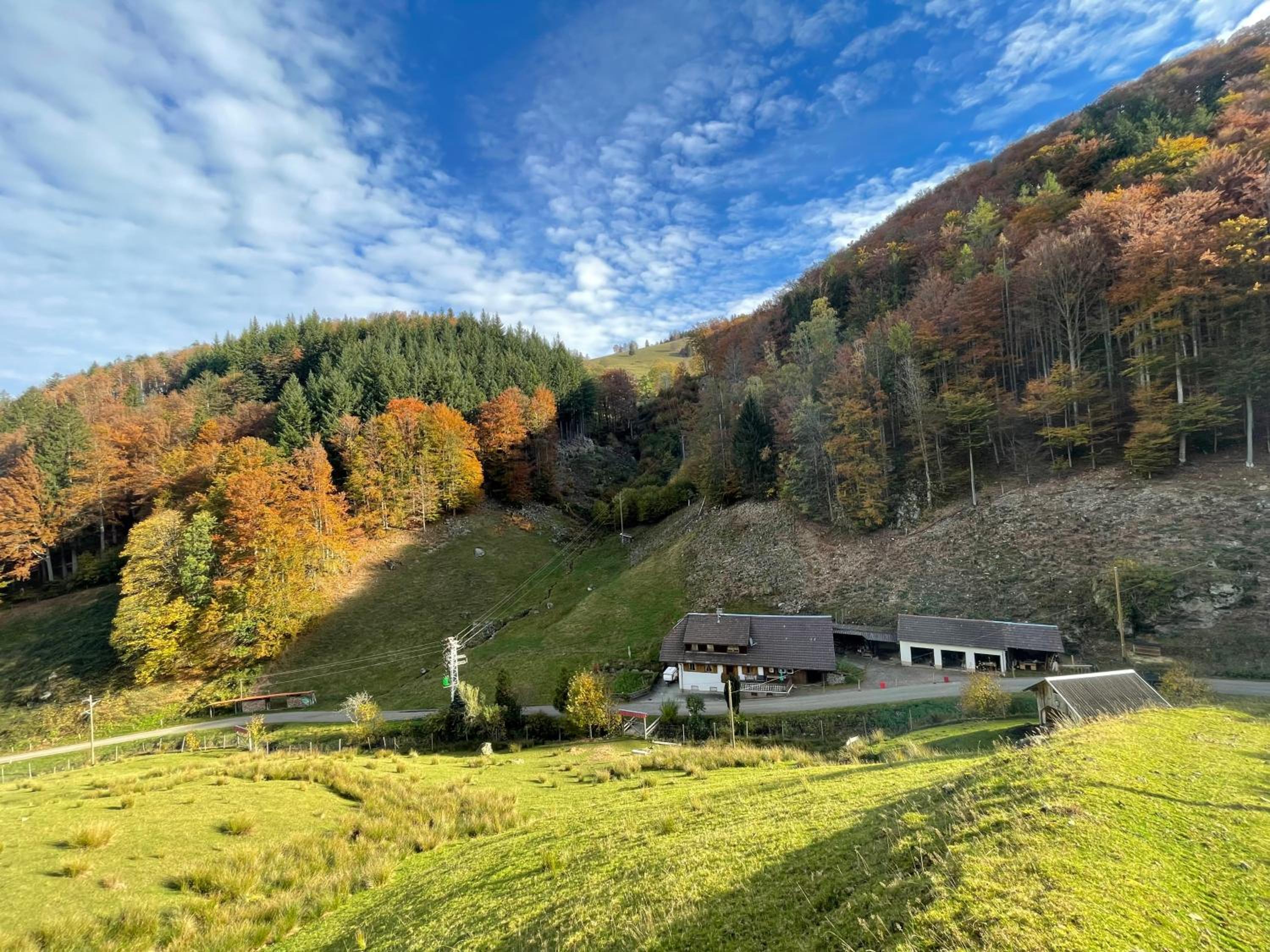Bauernhaus im Münstertal