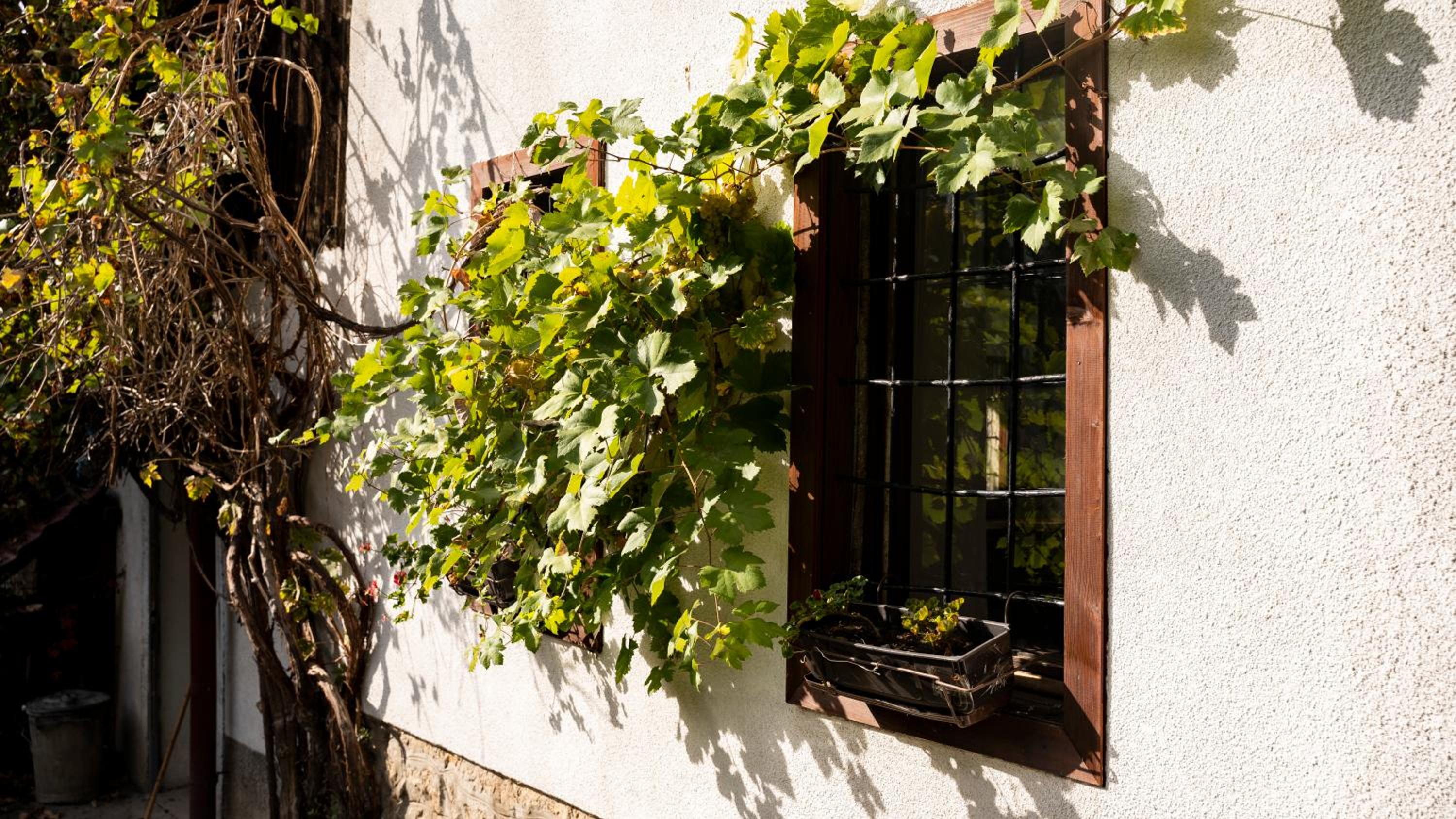 Caravansaray (old house)
