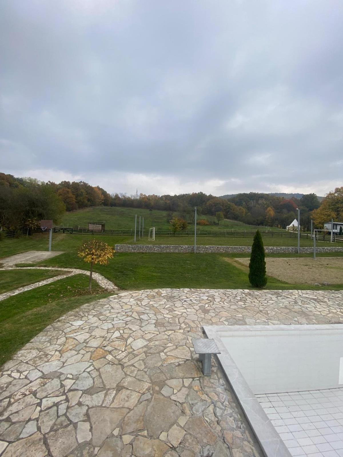 Forest Camp view 4