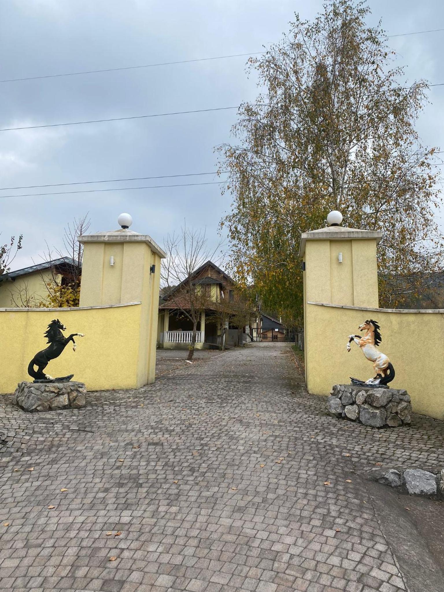 Photo 42