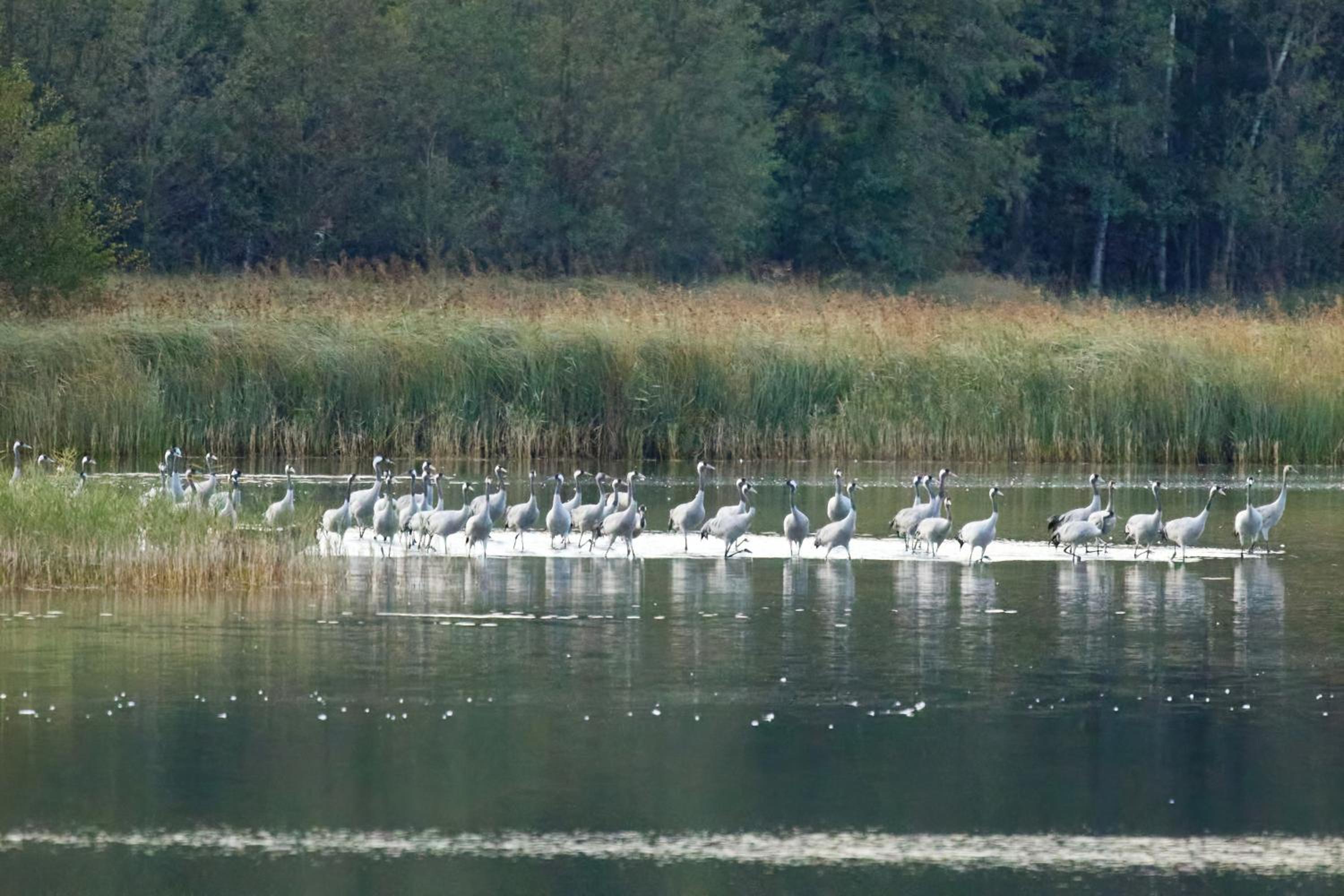 Ferienwohnungen am Federower Hofsee
