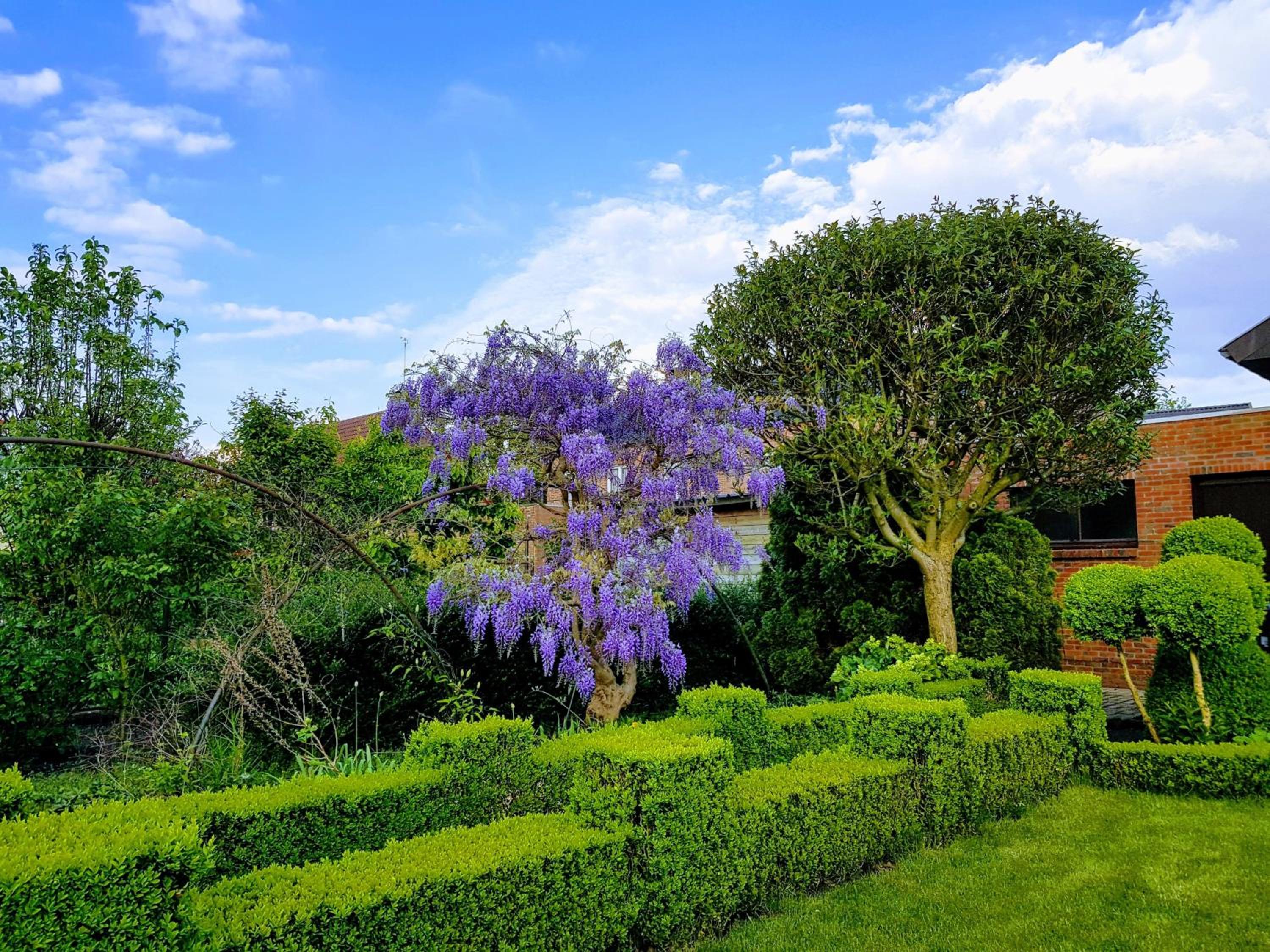 Gemütliches Haus Mit Eingezäuntem Garten