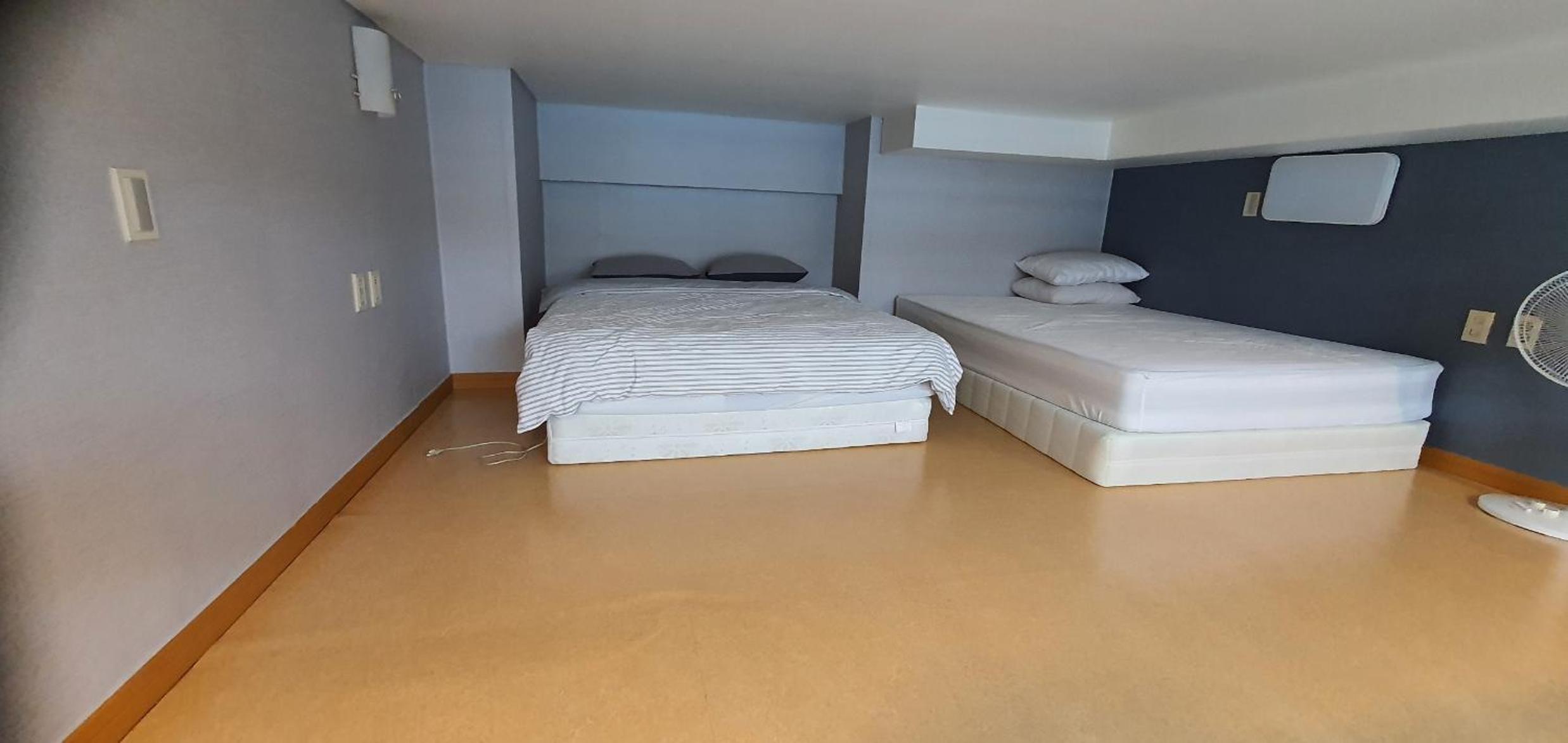sunny apartment