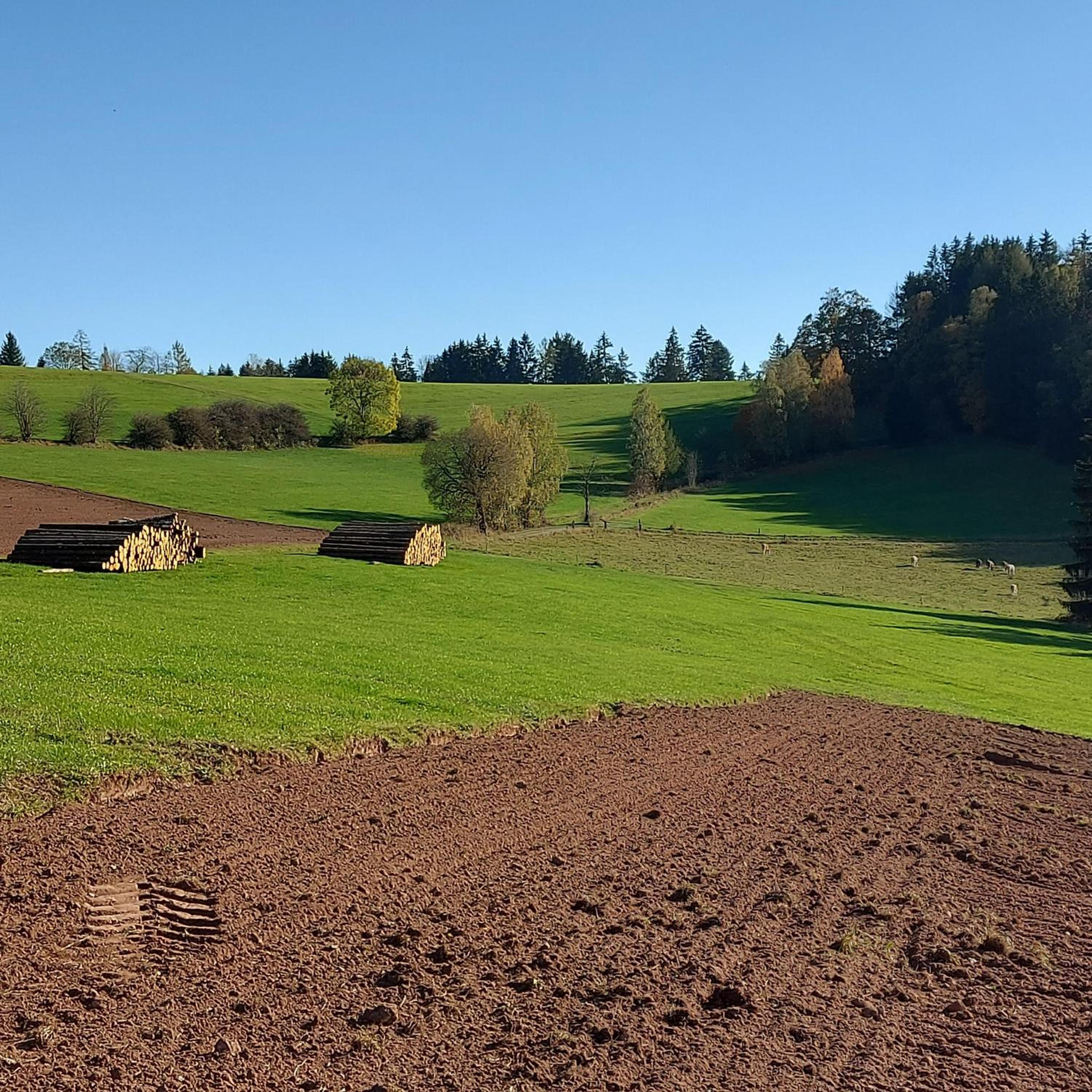 Ferienwohnungen Lahmenhof