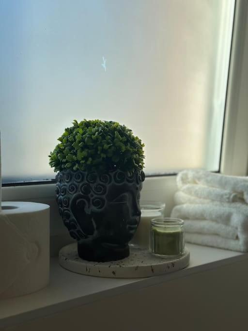 Studio Apartment 3 - Komfort & Günstig