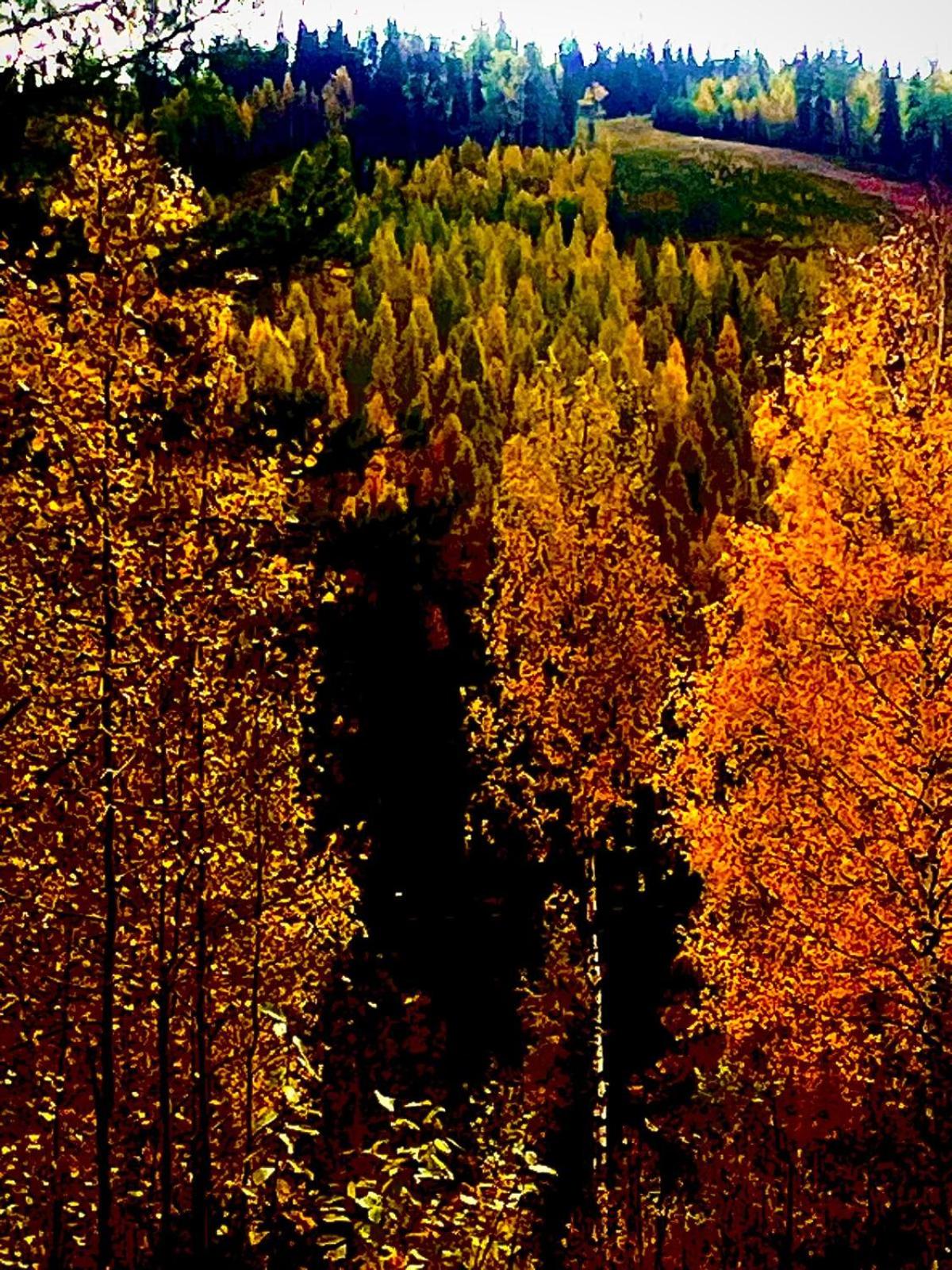 Ukkohalla, Sivumäki