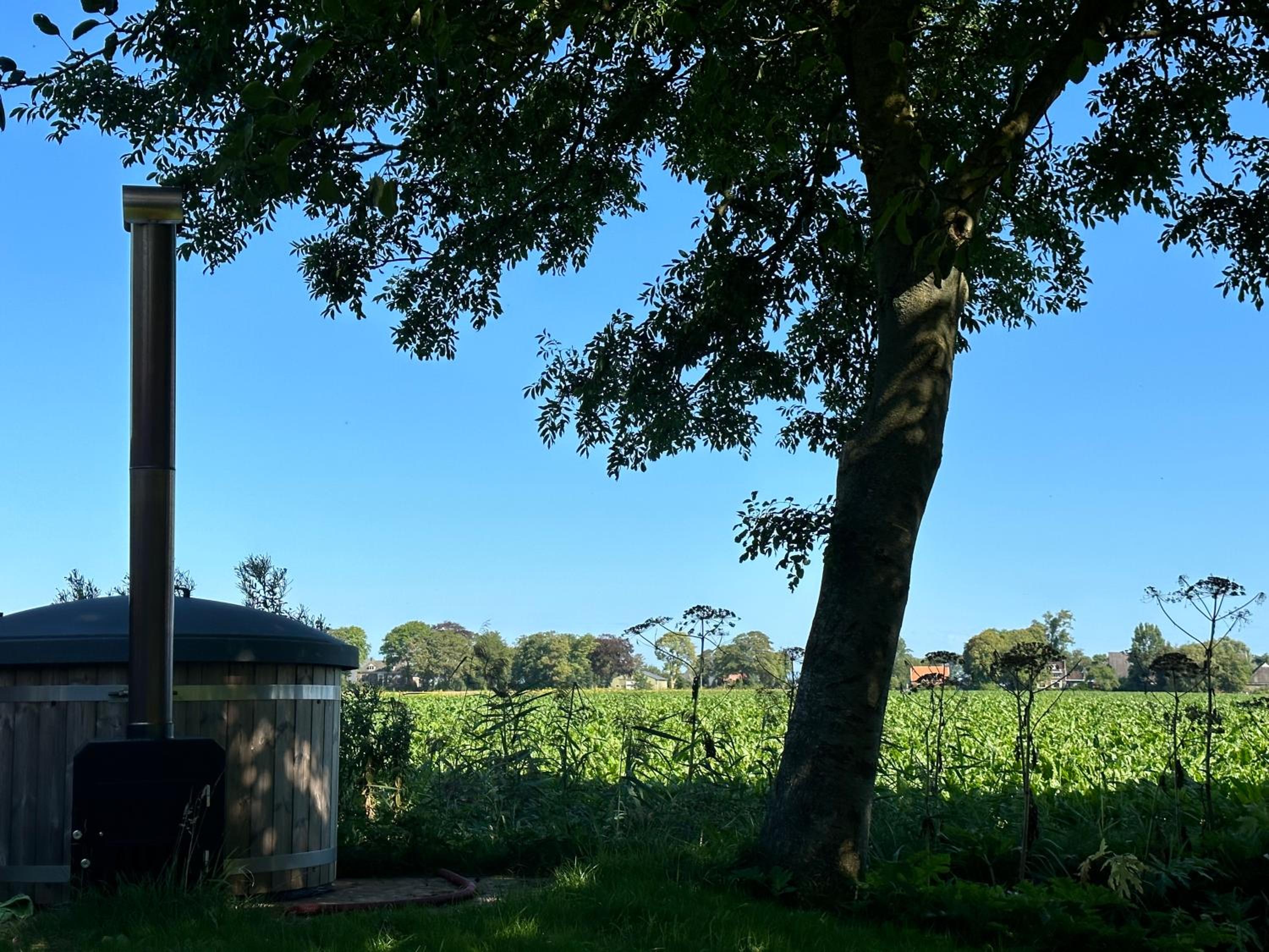 PieterBuur