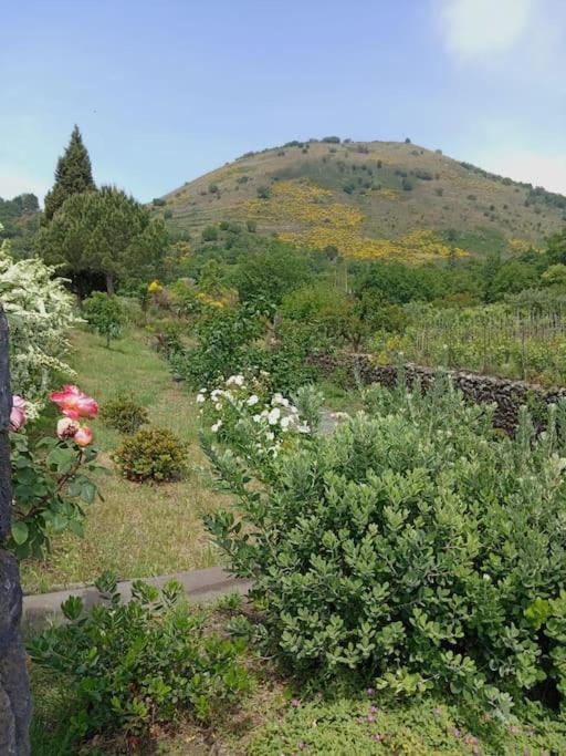 Casa Varanni view 3
