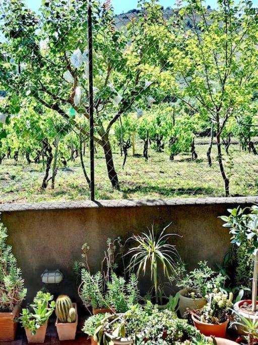 Casa Varanni view 4