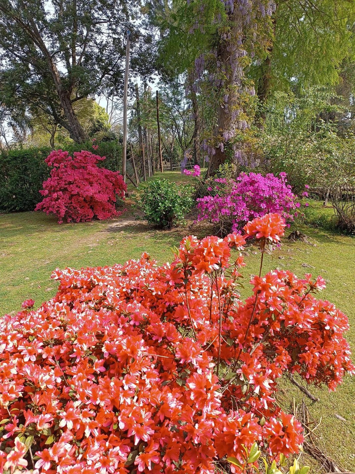 Quinta isleña Monte Blanco - Domingos Checkout 17 hs