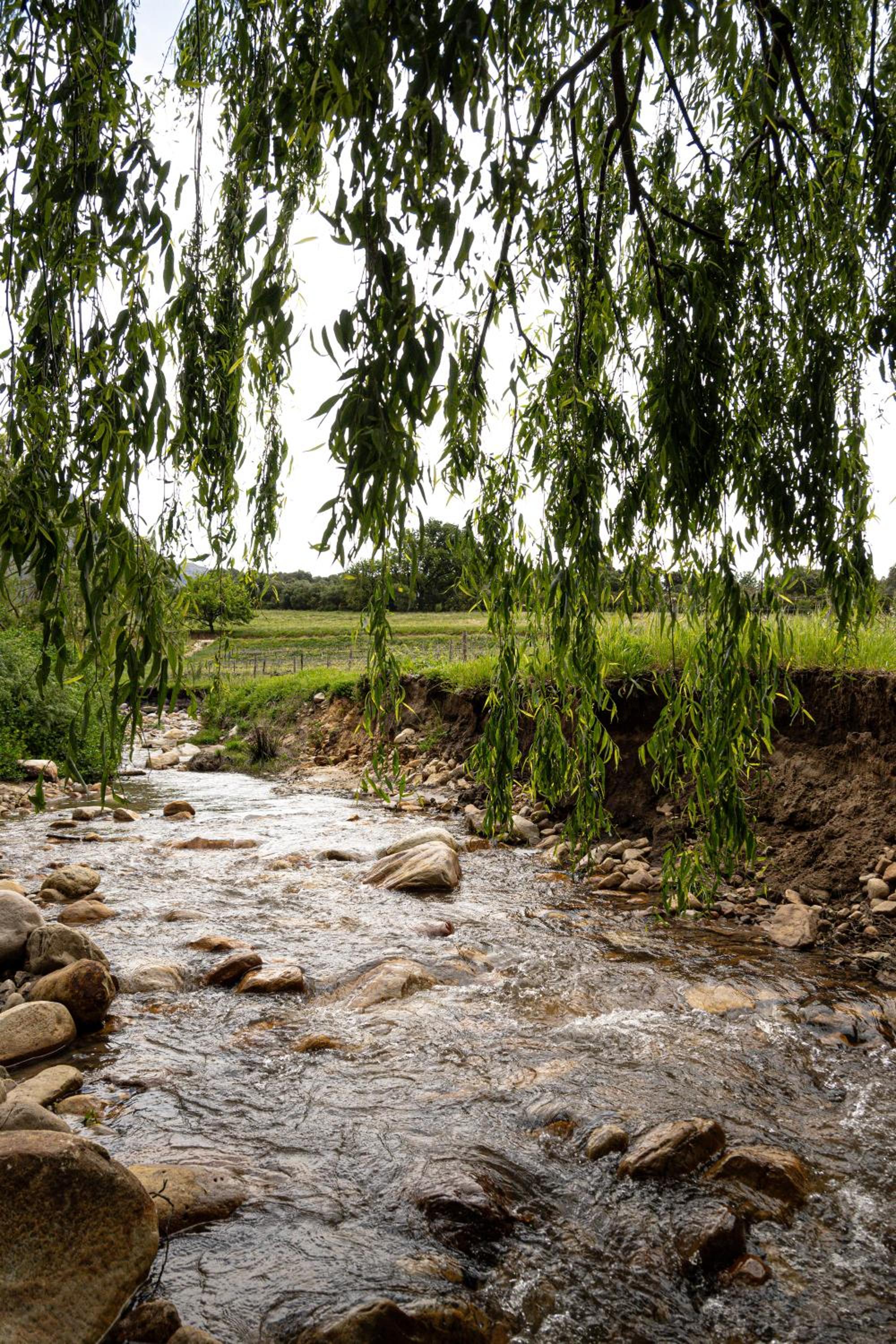Farm Keerweer view 2