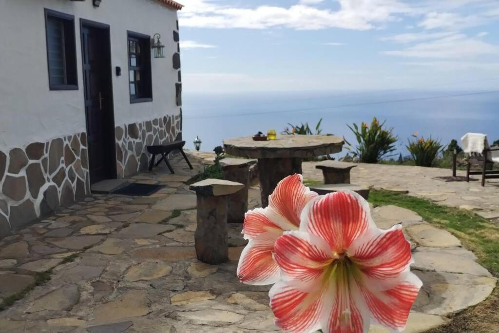 Villa Feliz casa Los Geranios 2 view 5