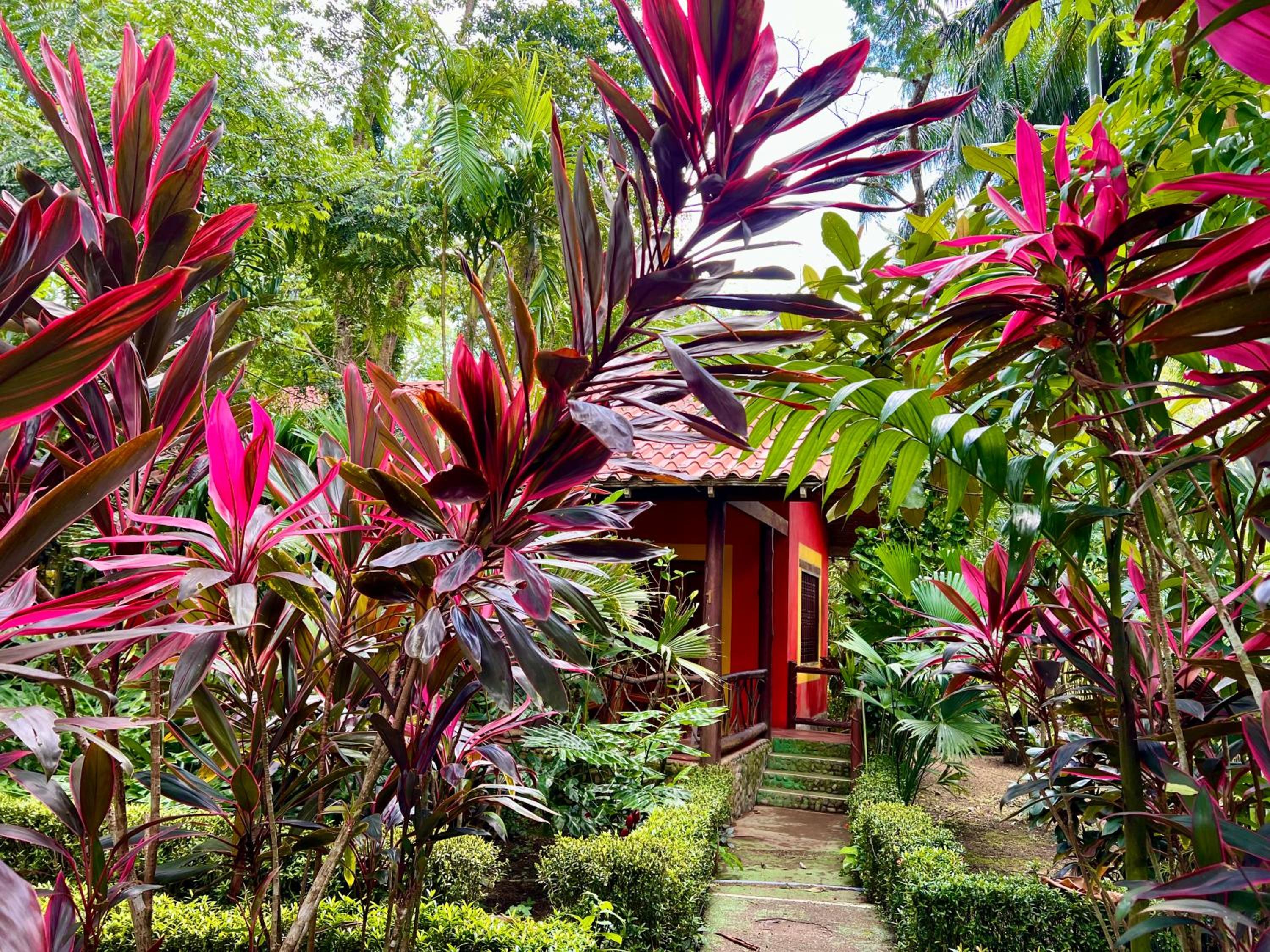 Eco Zaru, Experience Authentic Costa Rican Jungle & Ocean Bliss