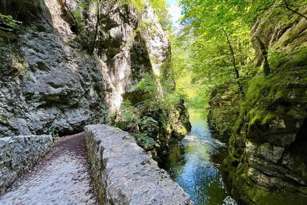 Spacieux appartement de 2,5 pièces avec vue