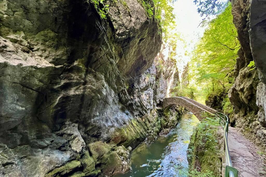 Spacieux appartement de 2,5 pièces avec vue
