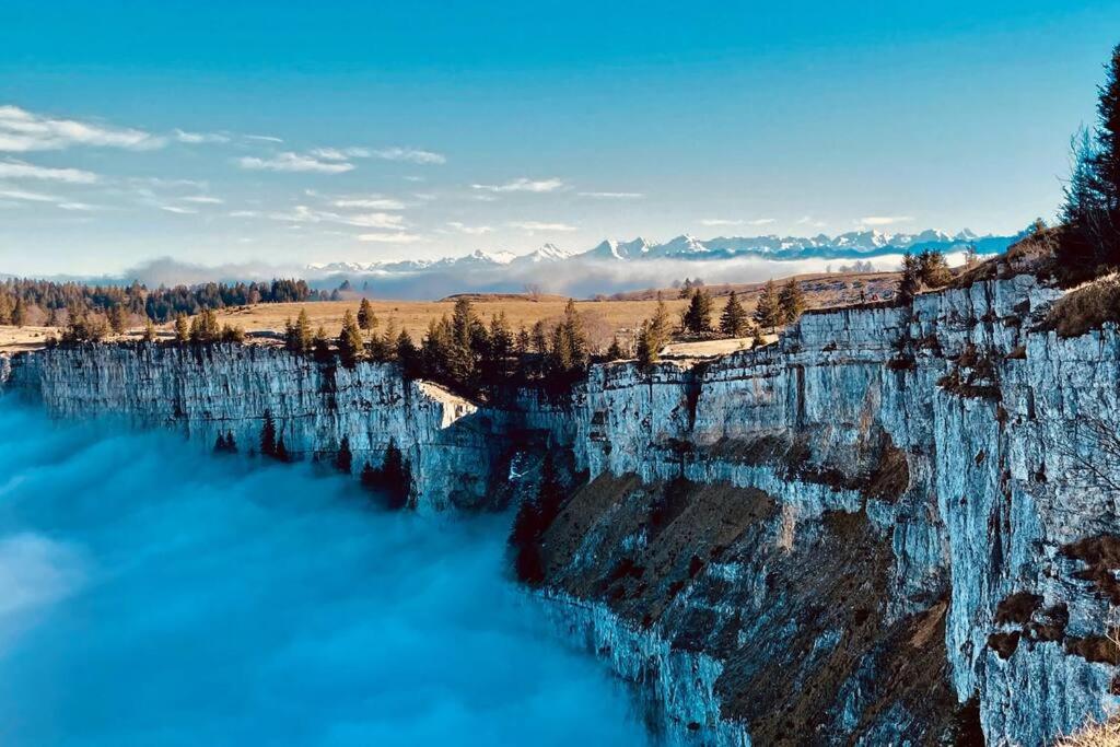 Spacieux appartement de 2,5 pièces avec vue