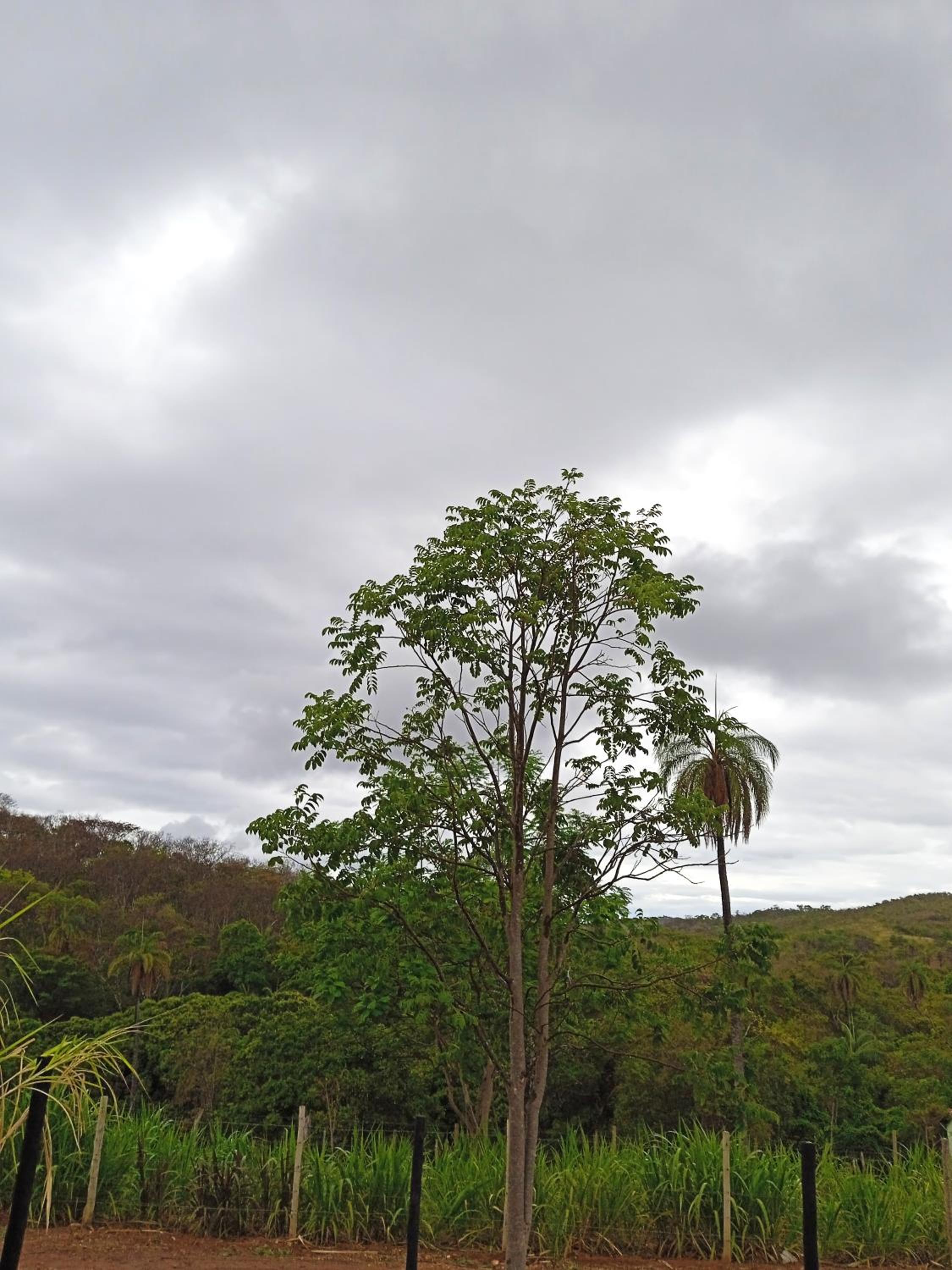 Chalé recanto dos pássaros-serra do cipó