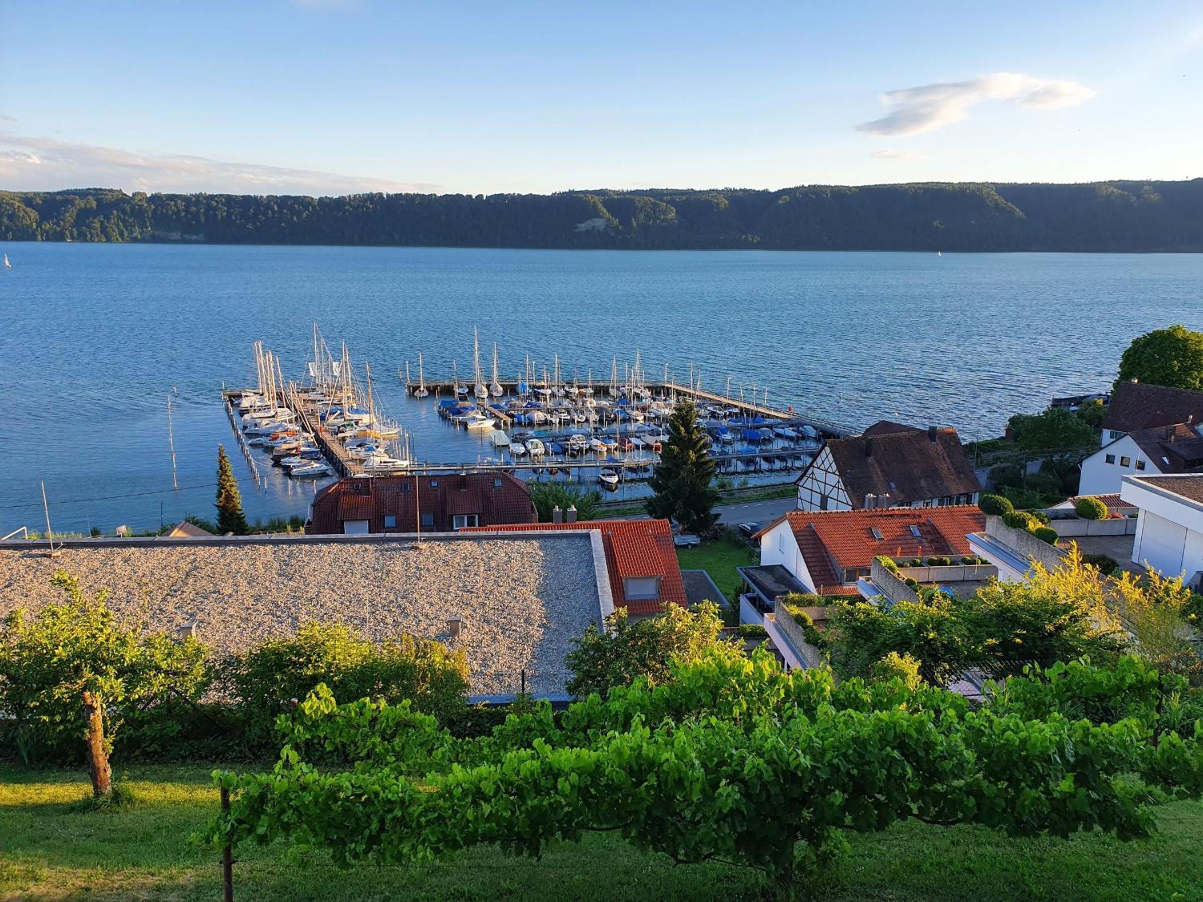 Ferienwohnung Panorama-Seetraum