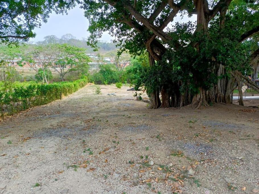 campestre, naturaleza, confort, familiar